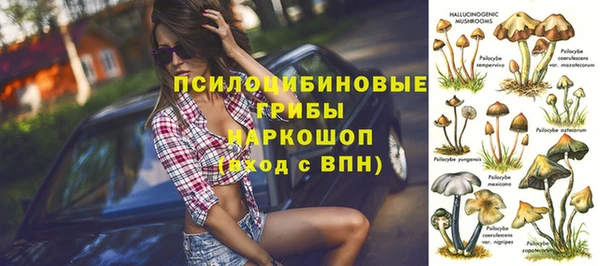 гидра Армянск