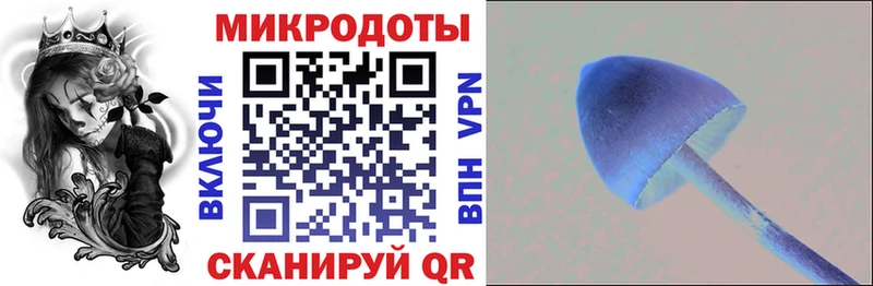 Галлюциногенные грибы MAGIC MUSHROOMS  mega онион  Алагир  где можно купить  
